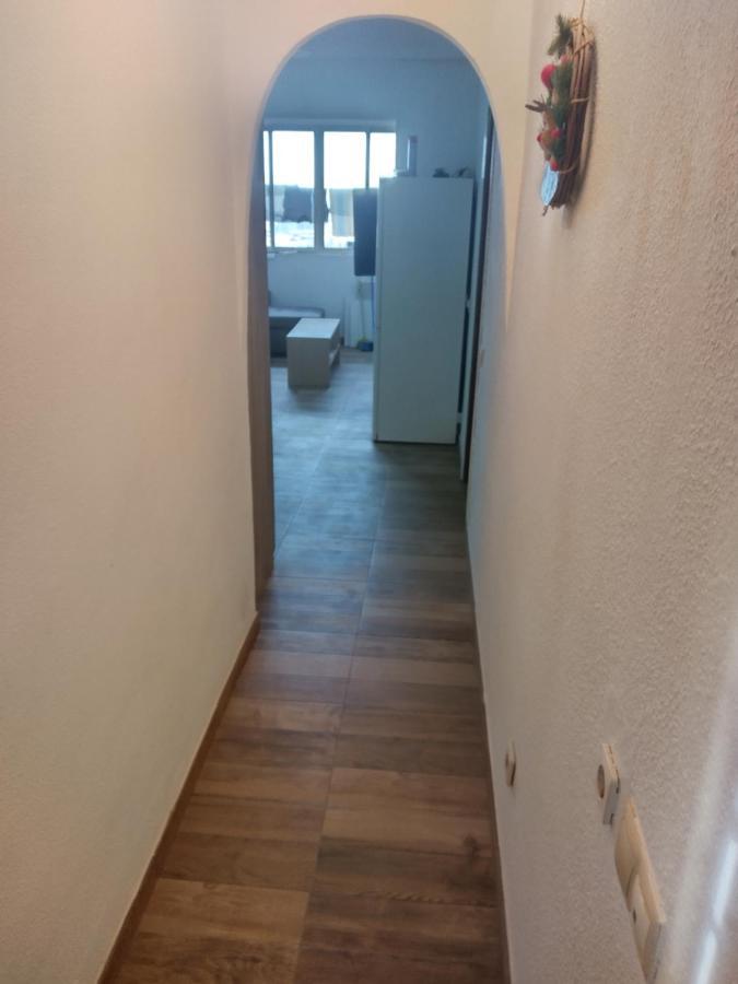 Sentral Appartement In Torrevieja Bagian luar foto